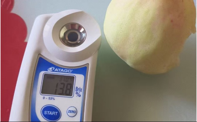 脆甜的奉化水蜜桃每天现摘现发